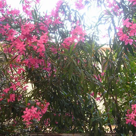 Residence Giusti 6-2