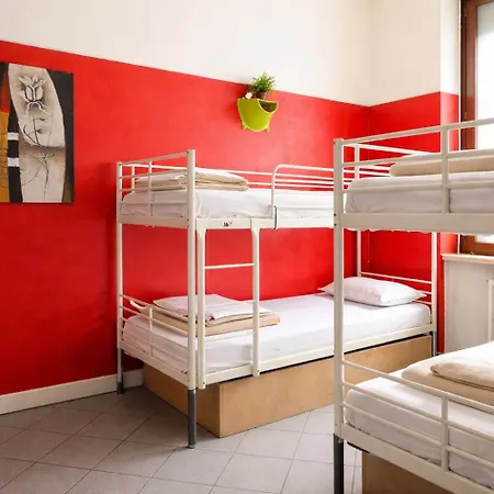 Koala Hostel-3